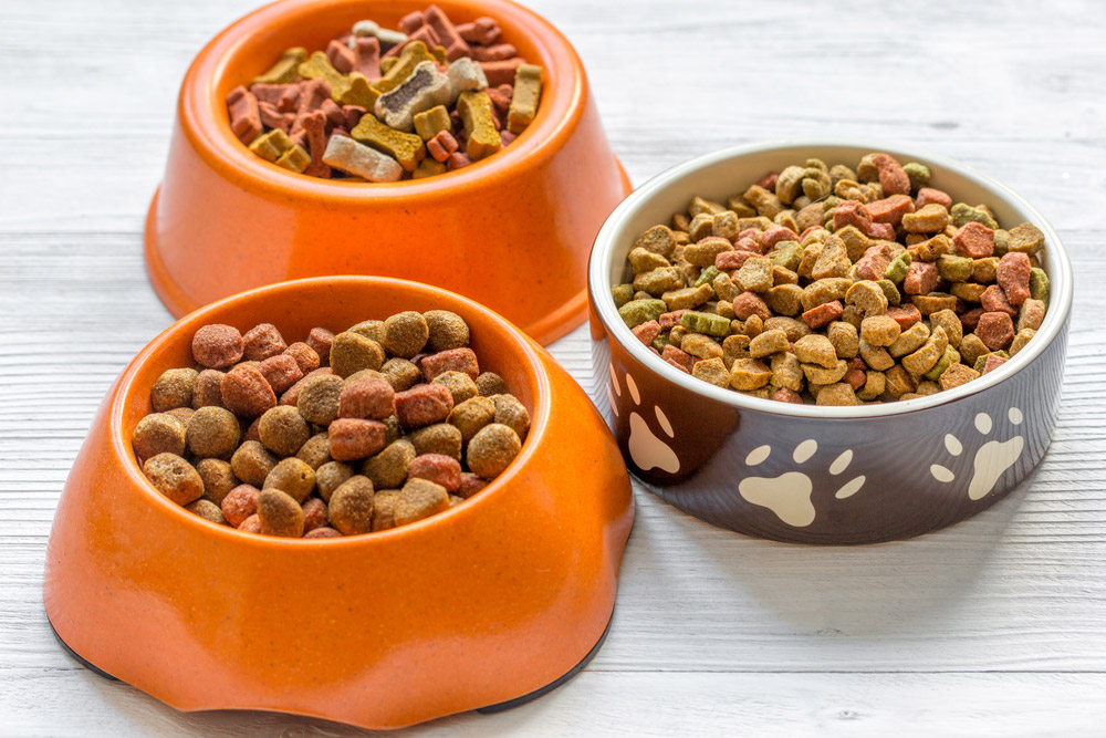 Update on Grain Free Dog Foods and Heart Disease